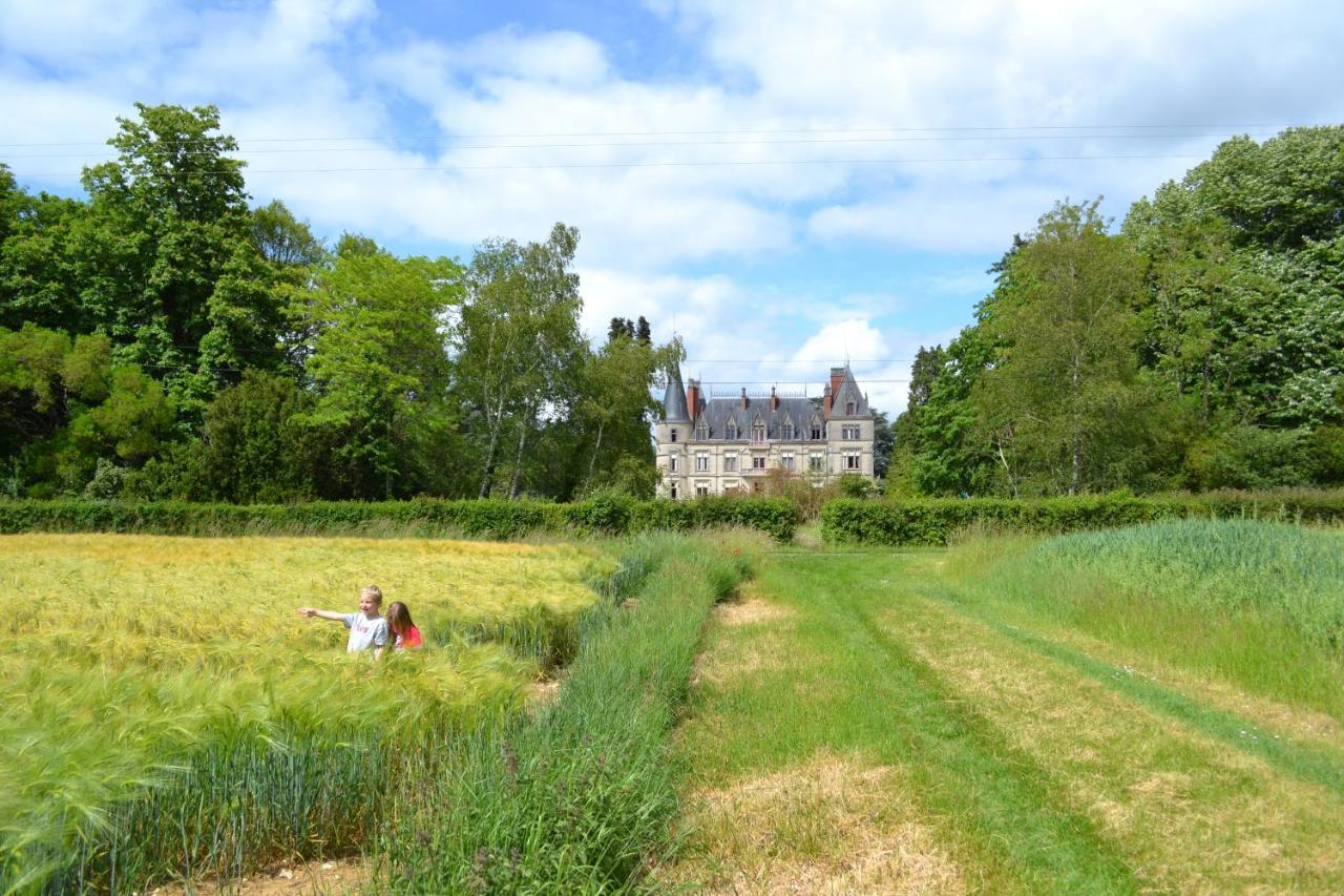 Chateau Le Boisrenault Buzançais Exteriér fotografie